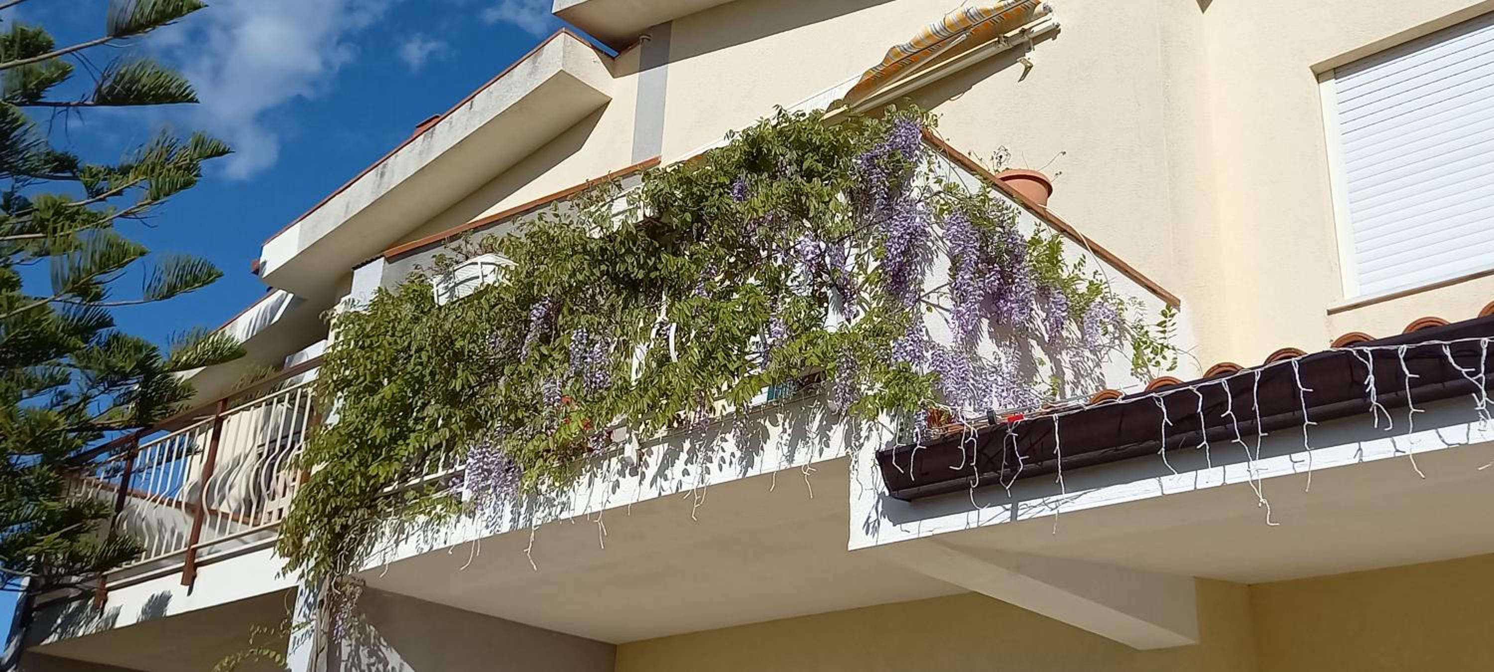Villa Alba