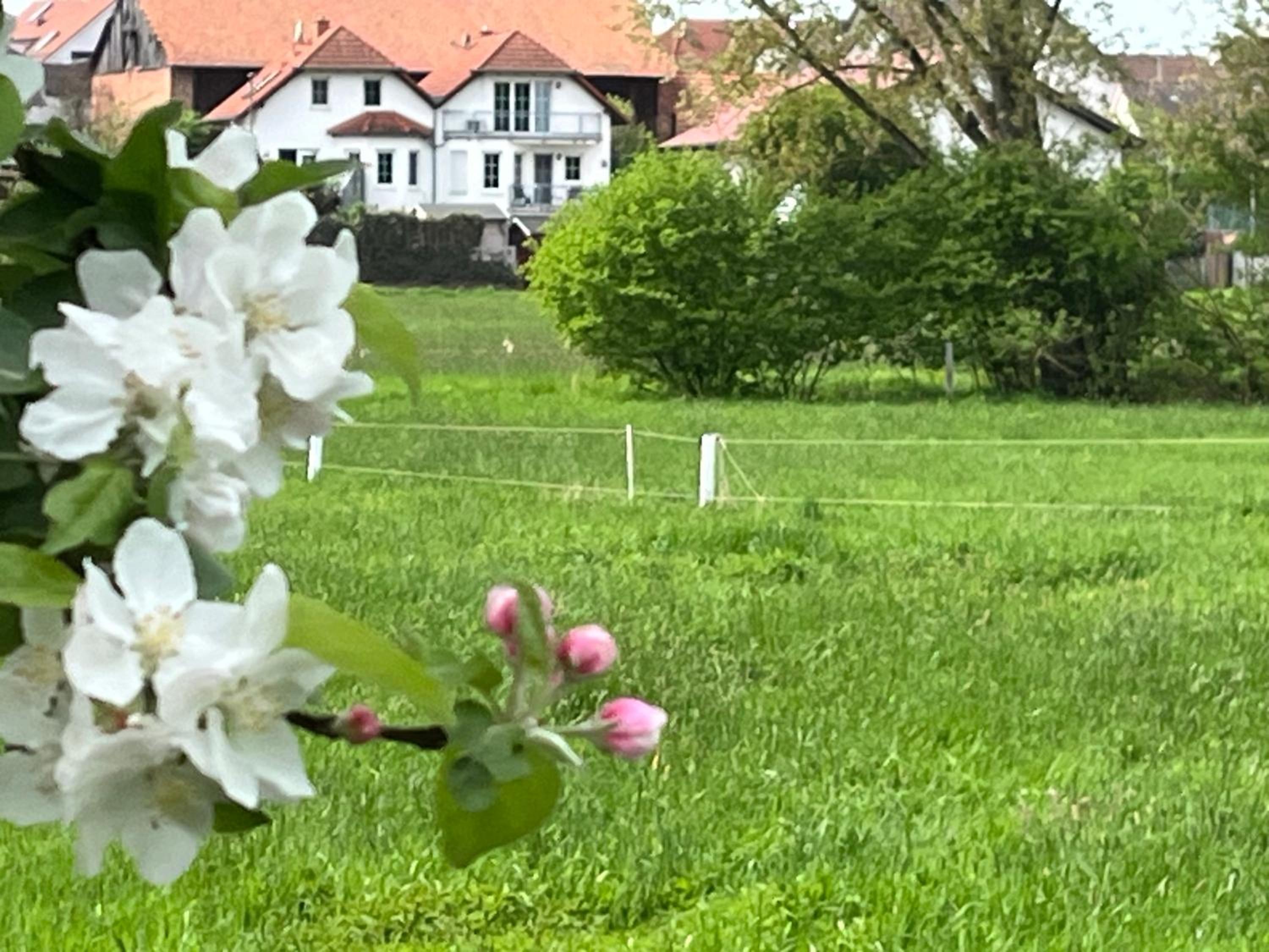 Ferienwohnung Lipps