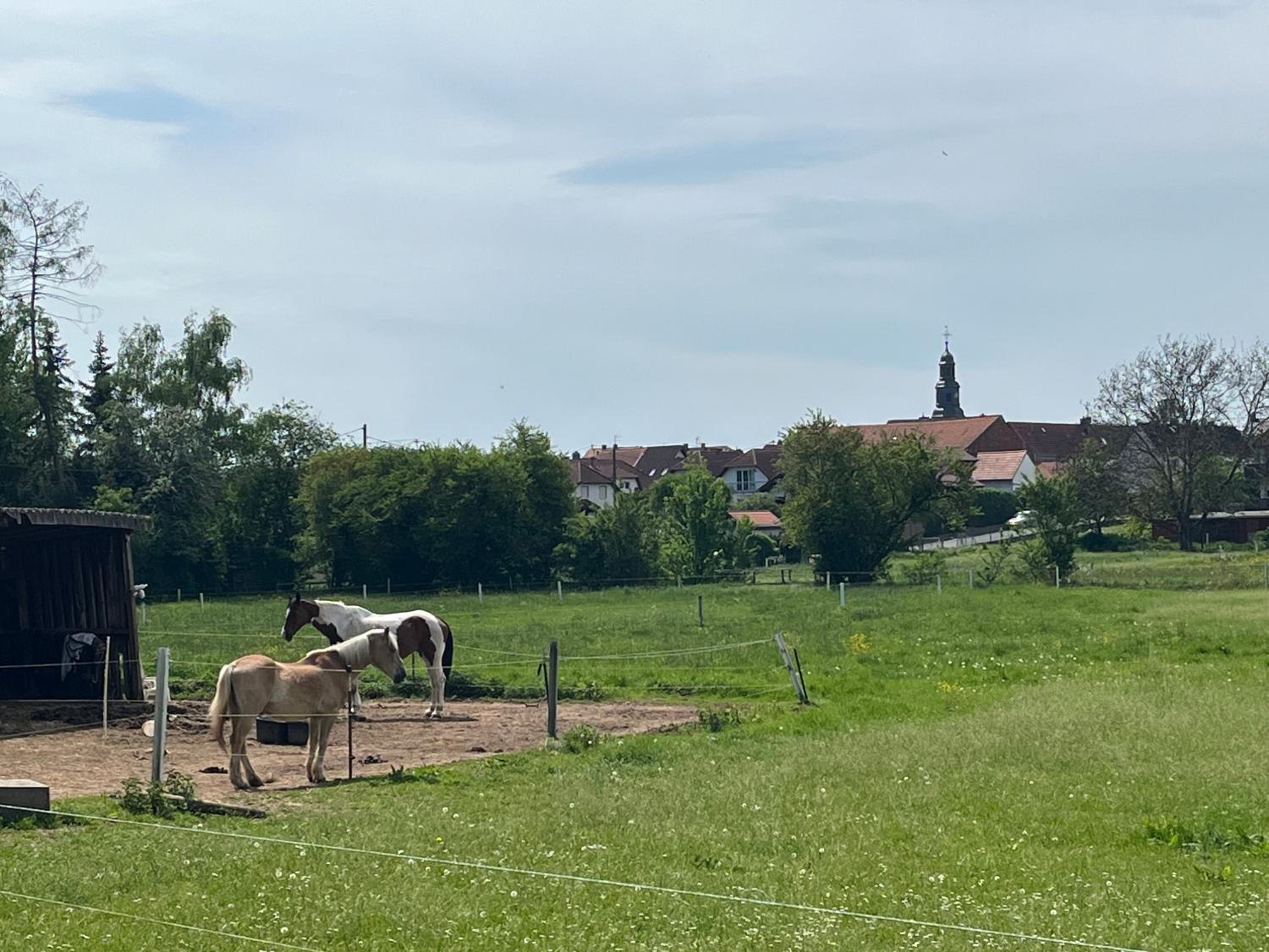 Ferienwohnung Lipps