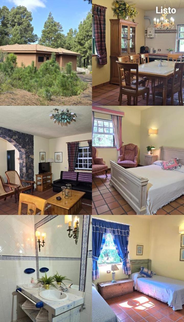 Vivienda Vacacional Alameda El Paso