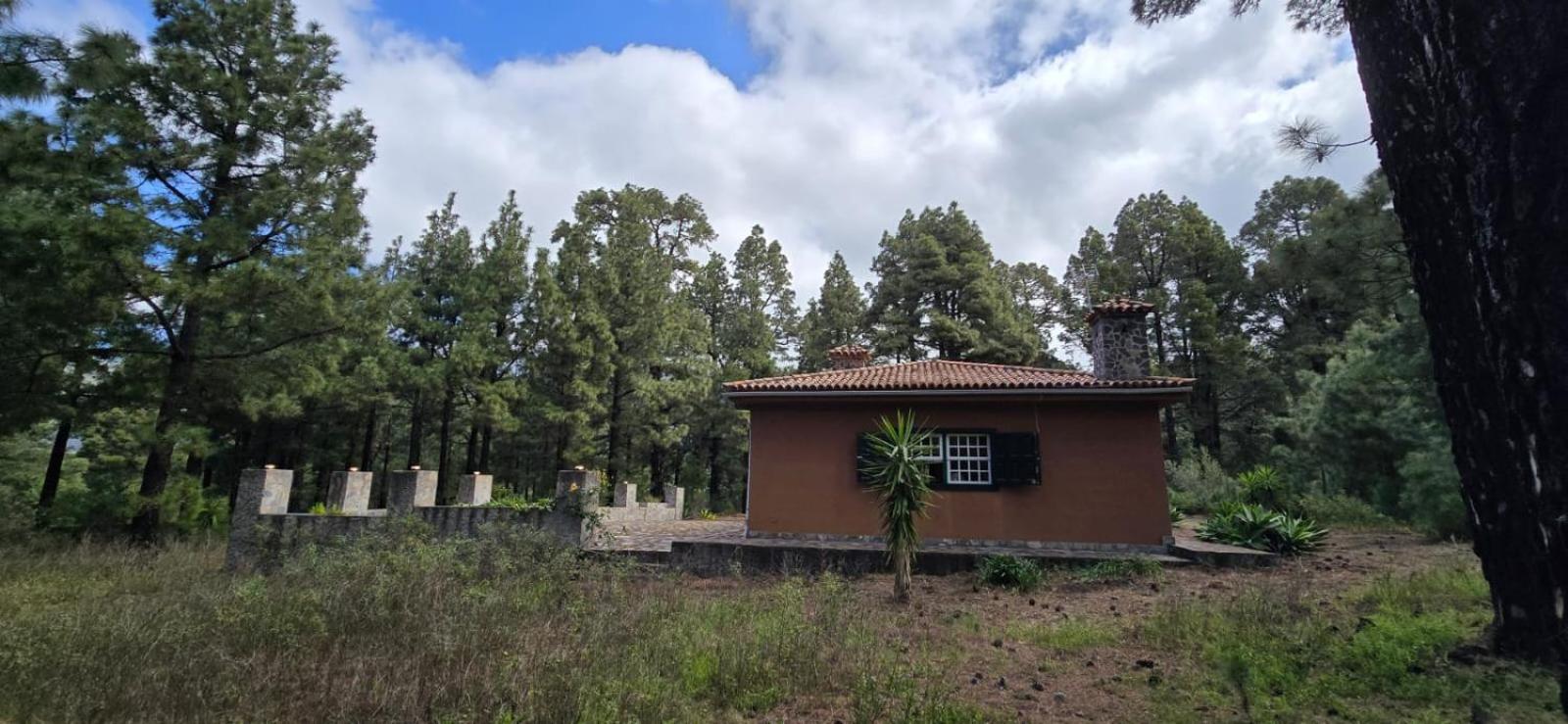 Vivienda Vacacional Alameda El Paso