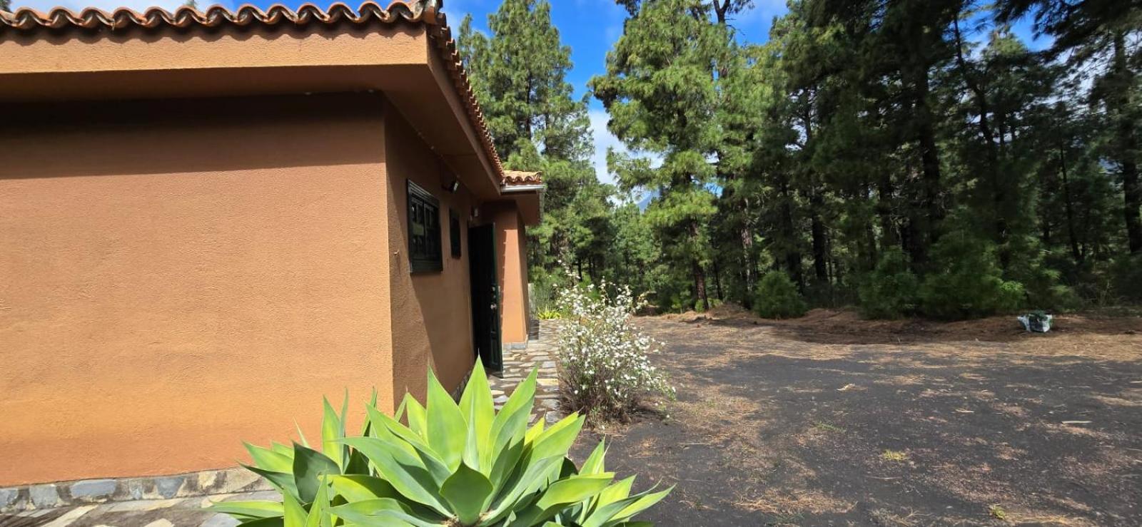 Vivienda Vacacional Alameda El Paso