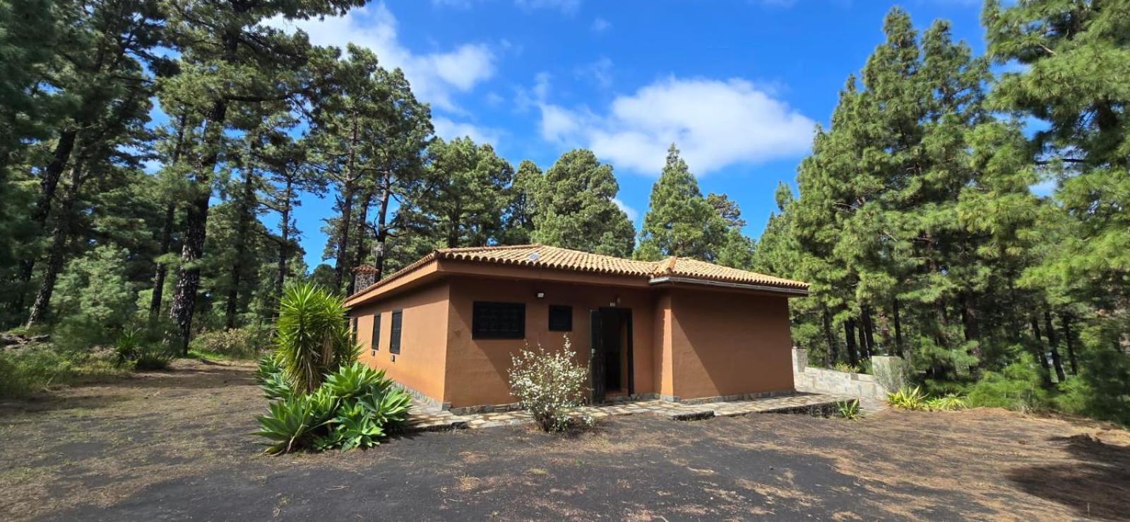Vivienda Vacacional Alameda El Paso