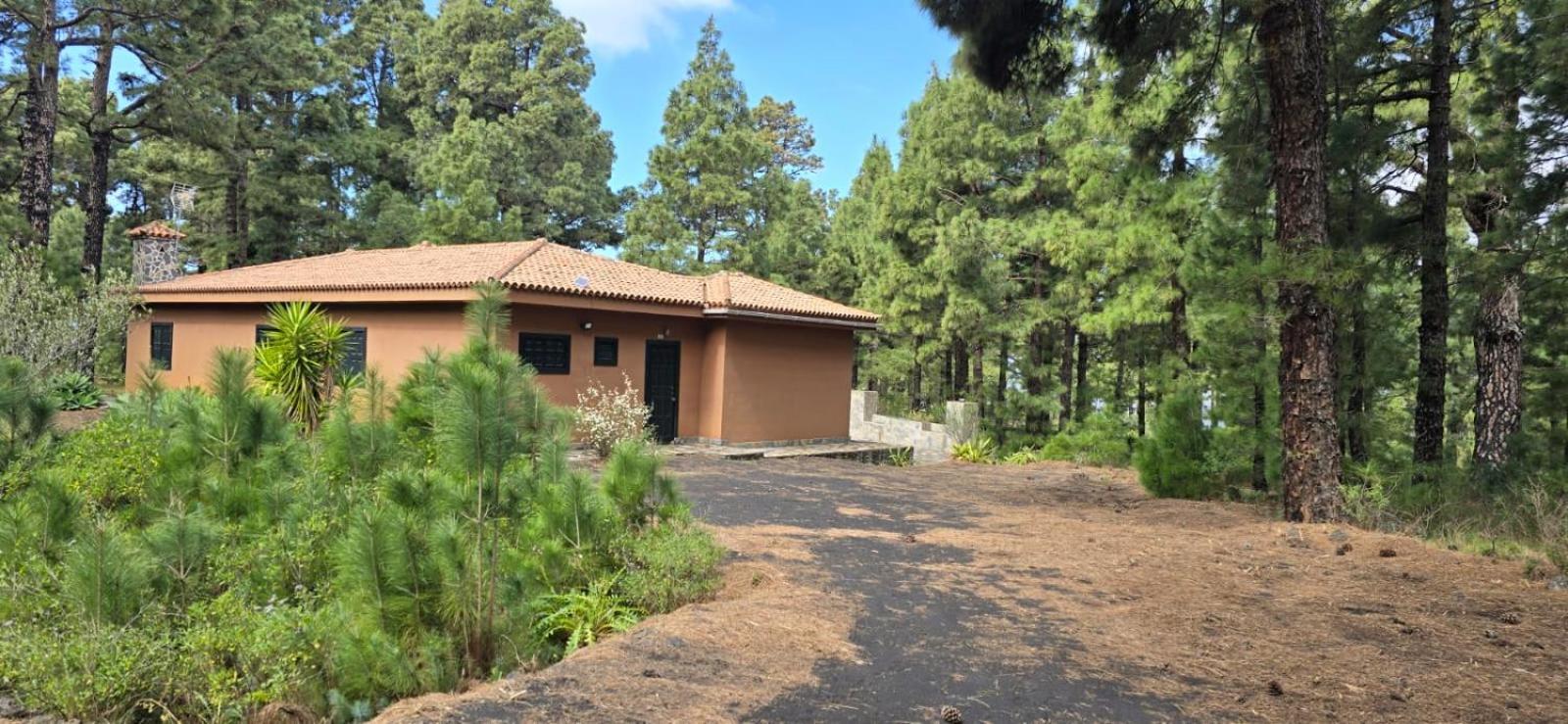 Vivienda Vacacional Alameda El Paso