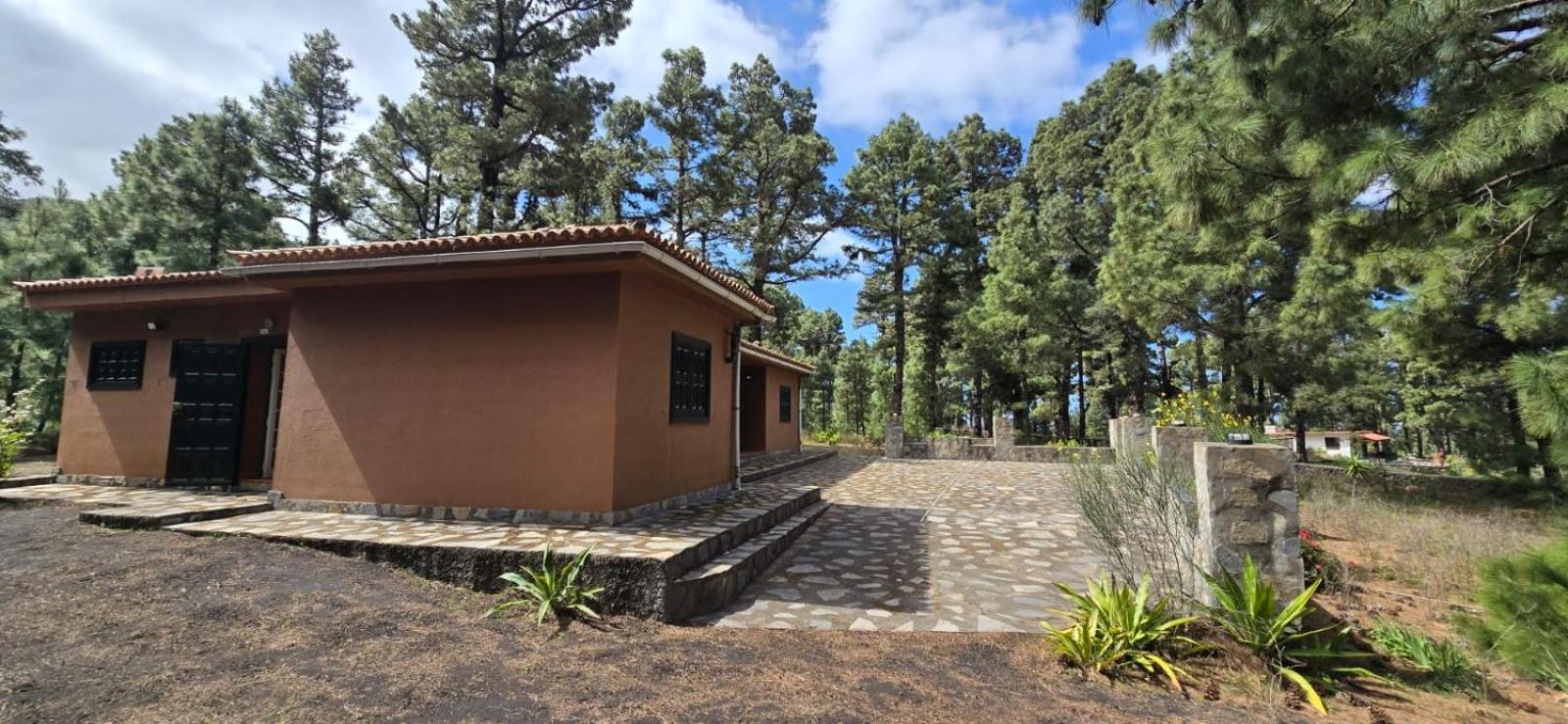 Vivienda Vacacional Alameda El Paso