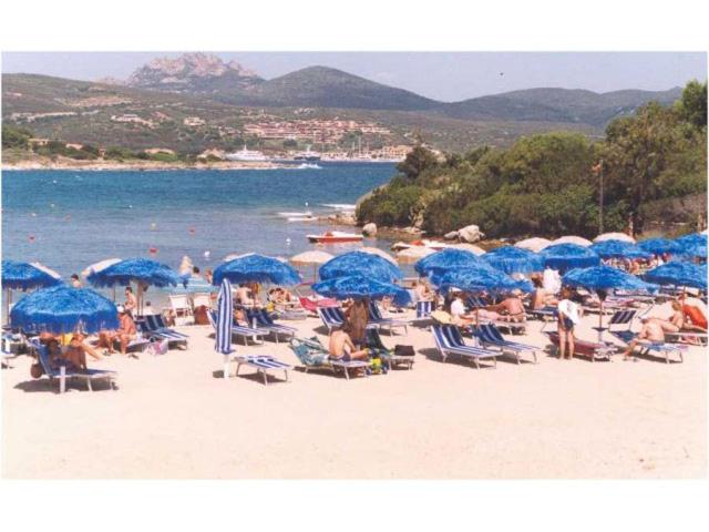 Residence Rudargia - Porto rotondo - 5 view 5