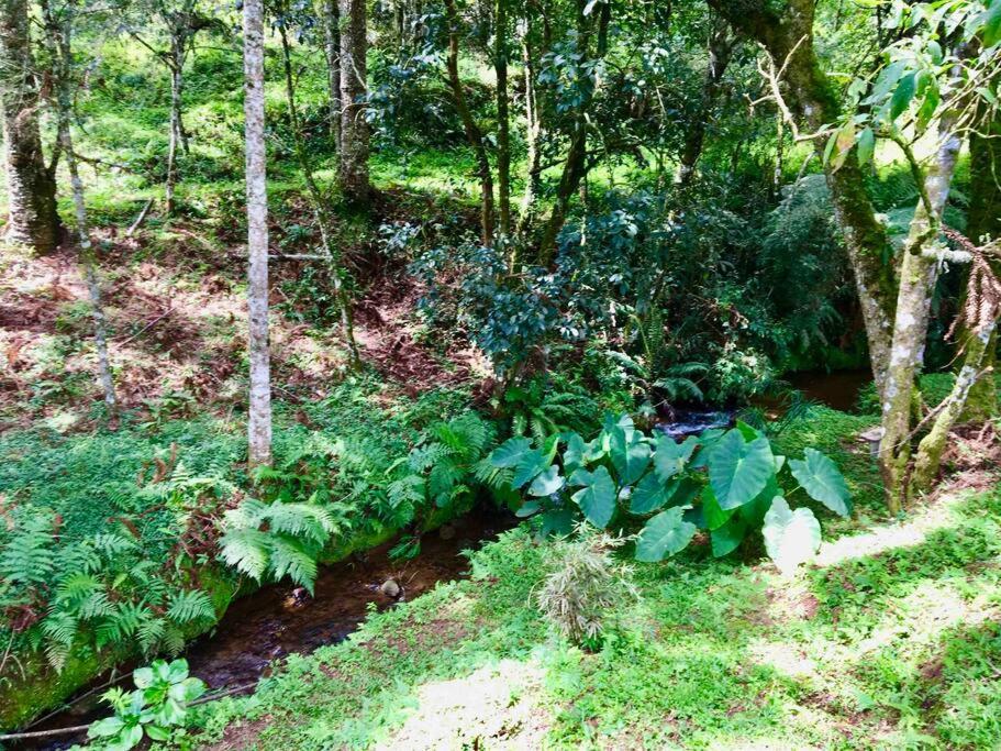 Casa Cipreste no Refúgio Pinheiro Beira Rio