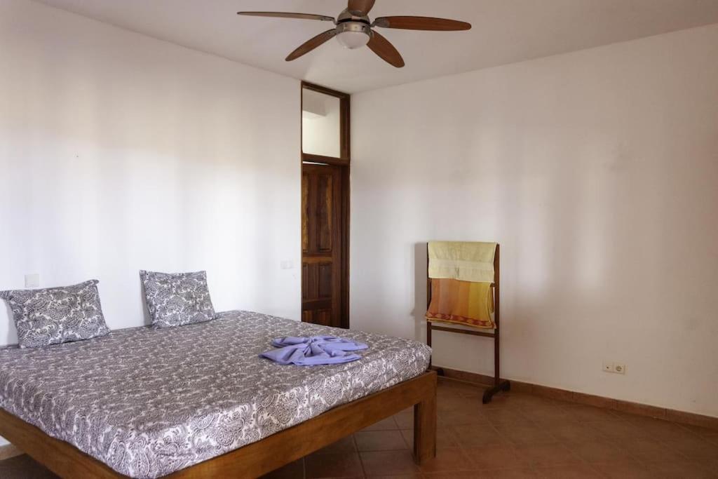 Villa de Palma a Ribeira D.Joao