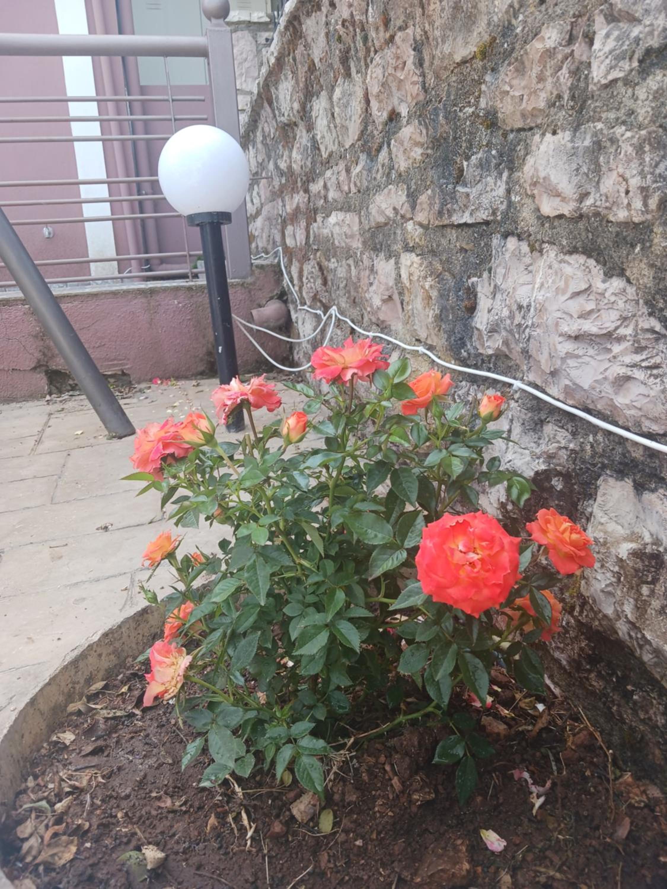 Village perfume