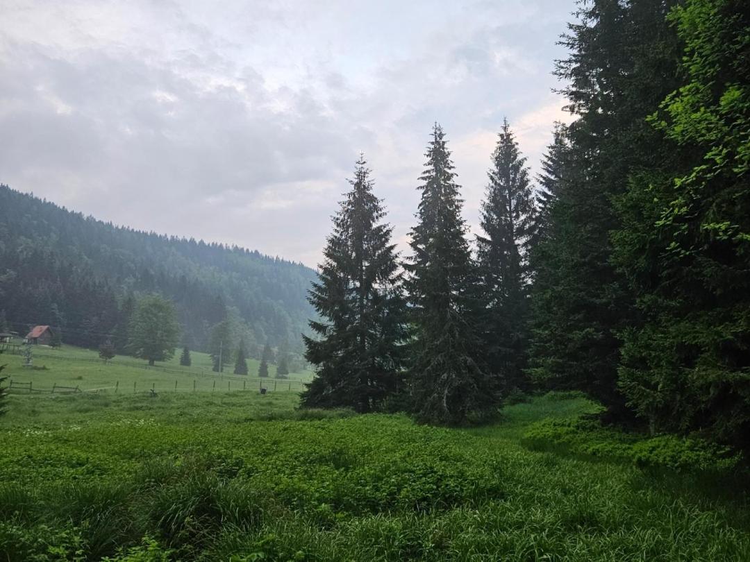 Oaza Jela view 5