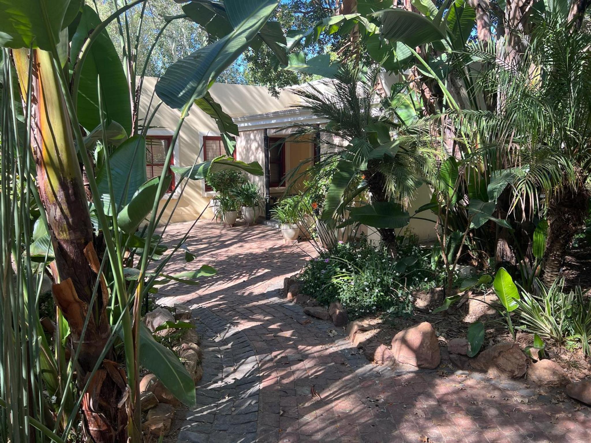 Oasis