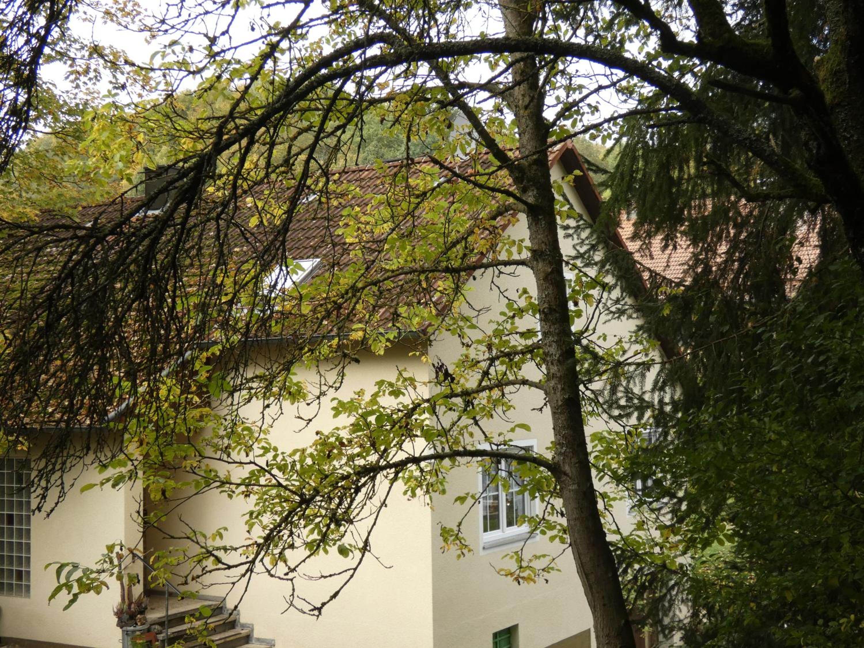 Weisses Huhn von Moschendorf