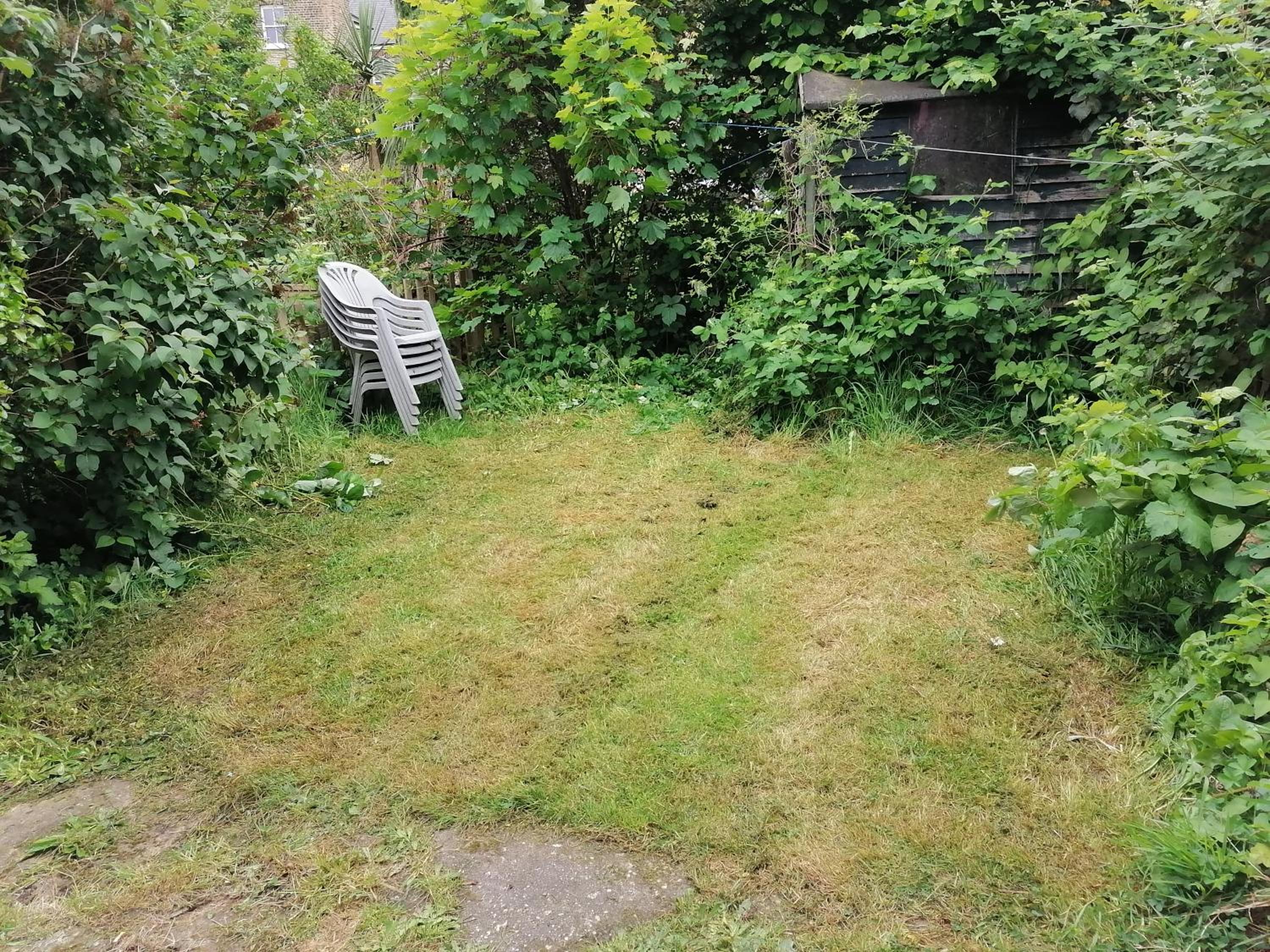 Photo 15