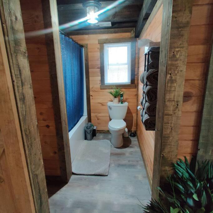 Photo 19