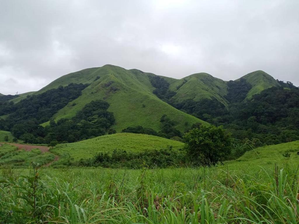 periyar view view 5