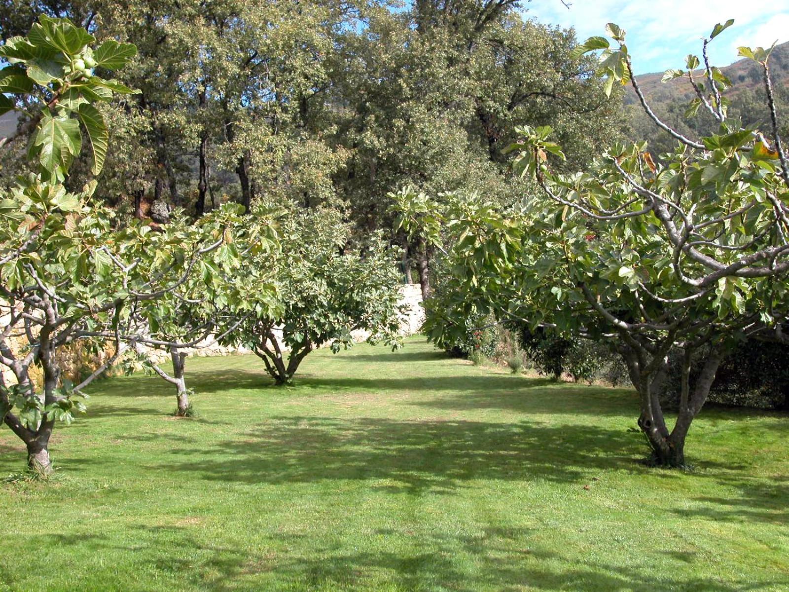 Oñigal