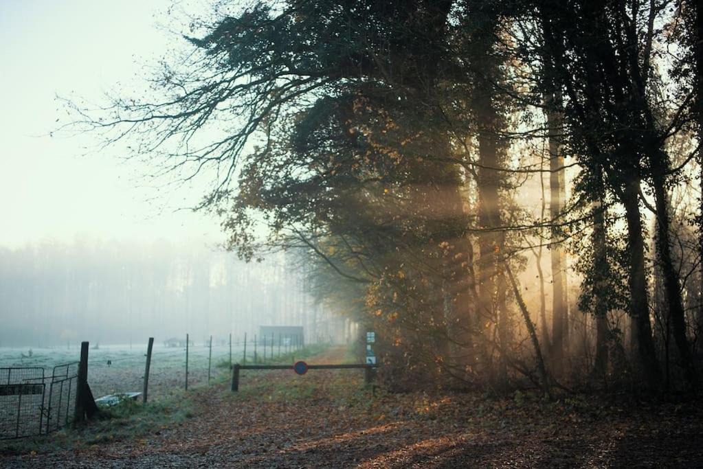 Het Bosnest, een vakantiewoning aan het Hallerbos