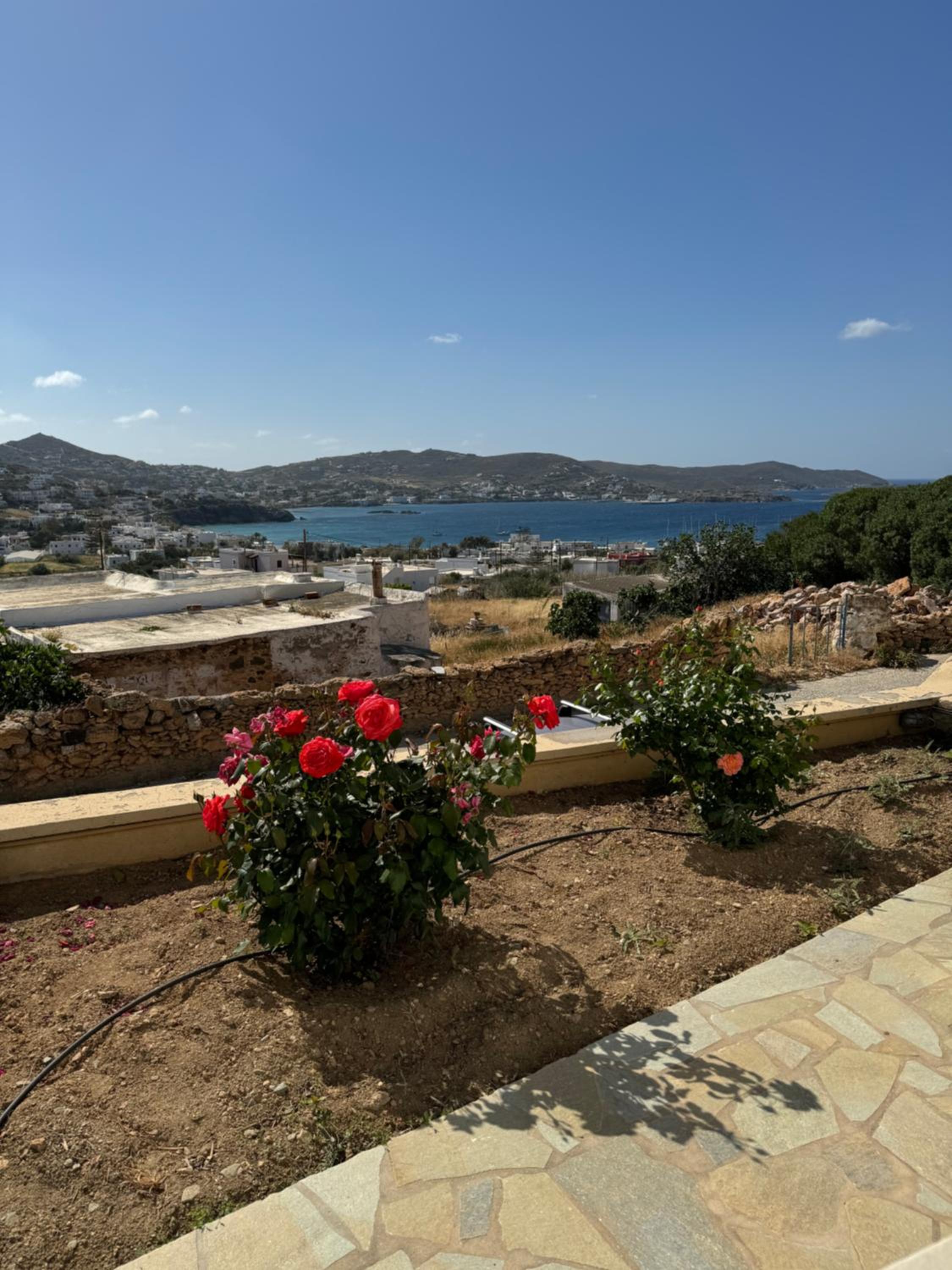 Villa Vivi