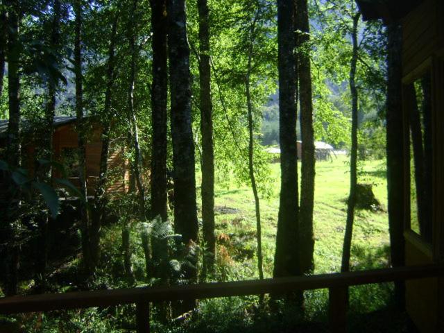 Patagonia Mawida