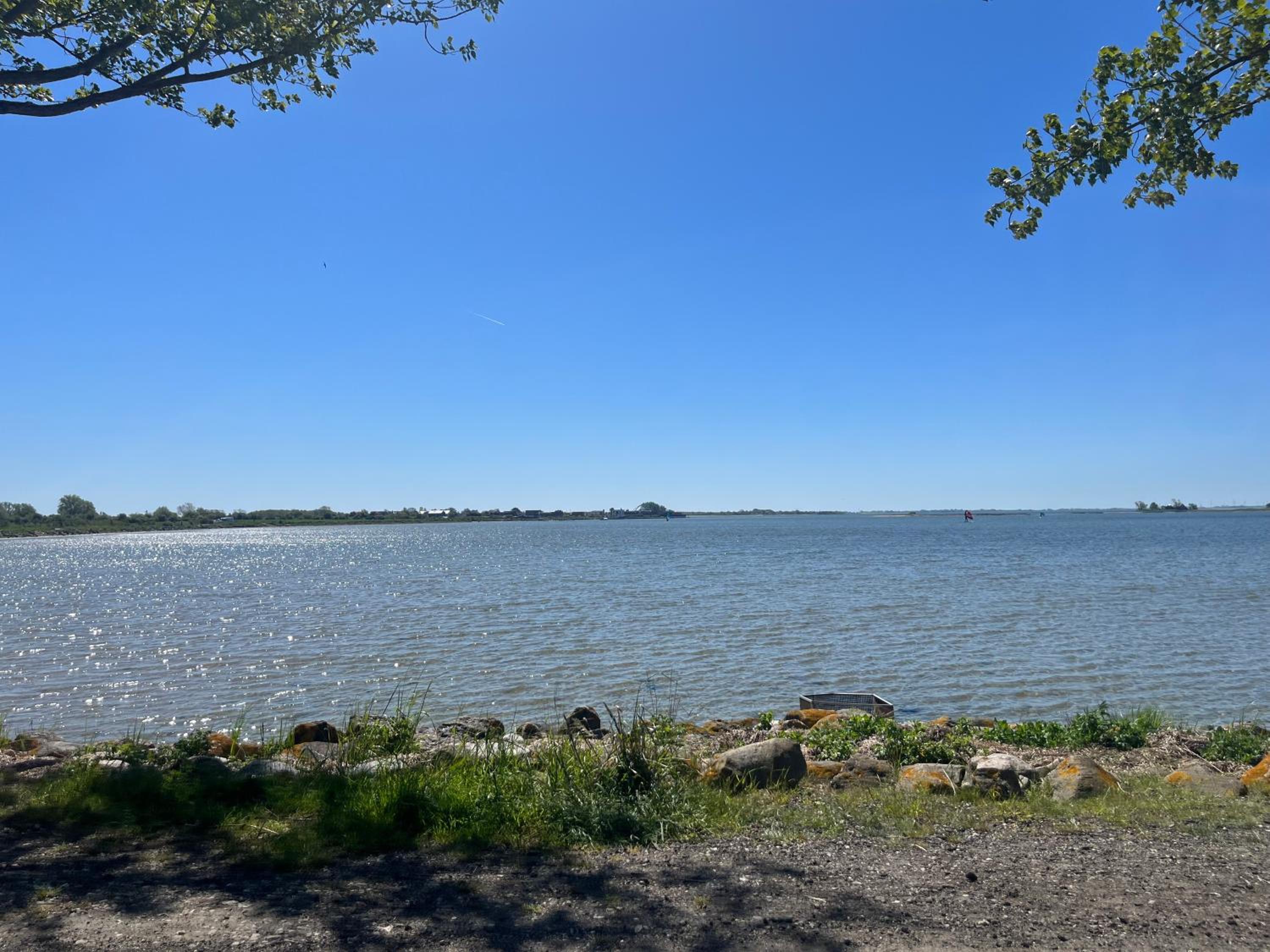 other