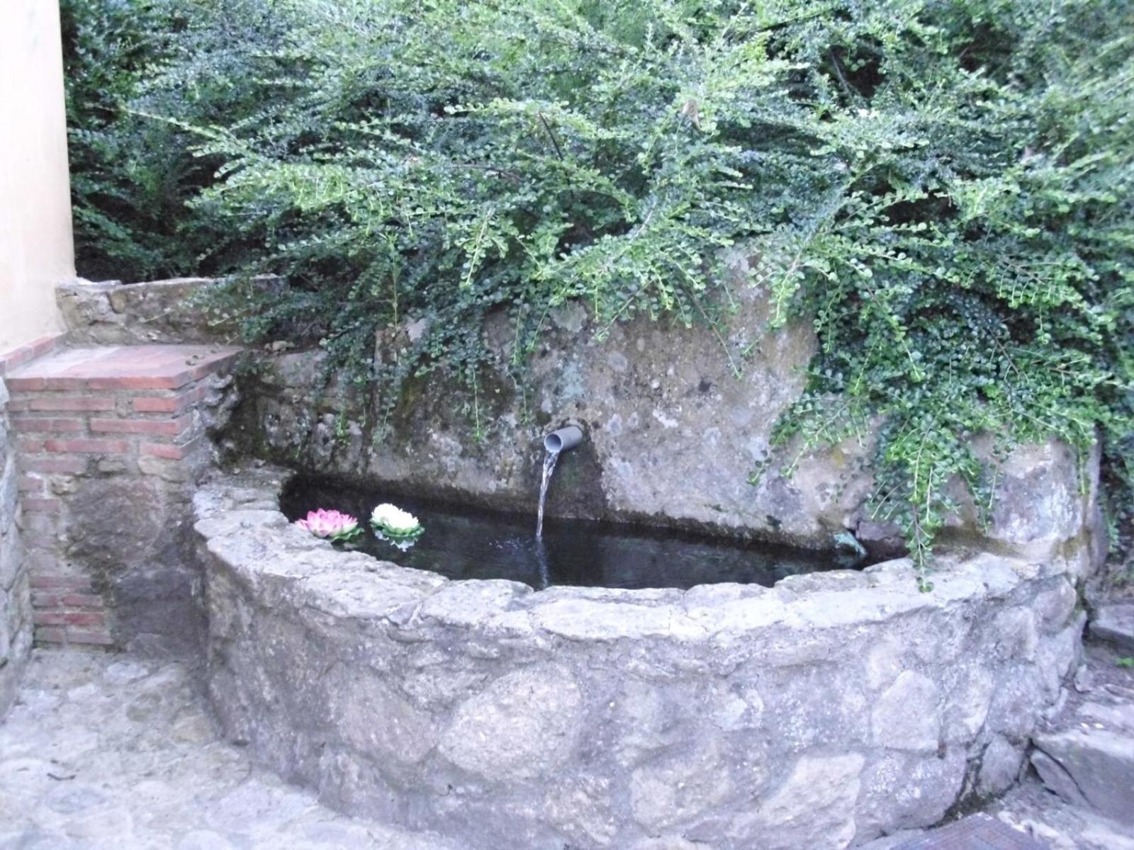 Photo 45