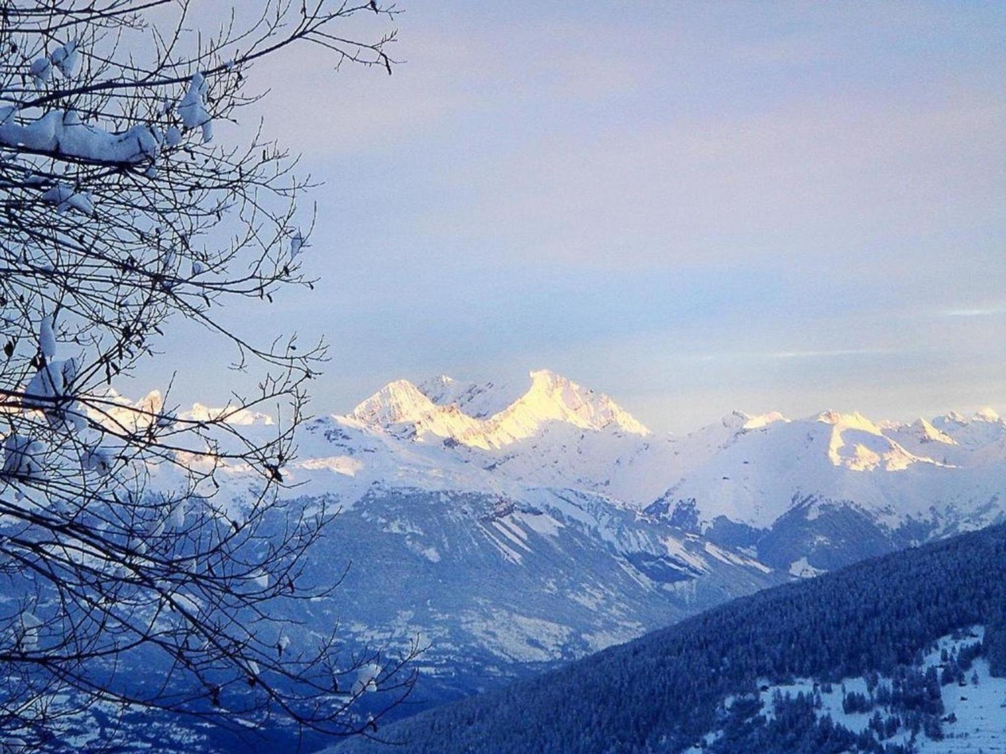 Chalet Albert