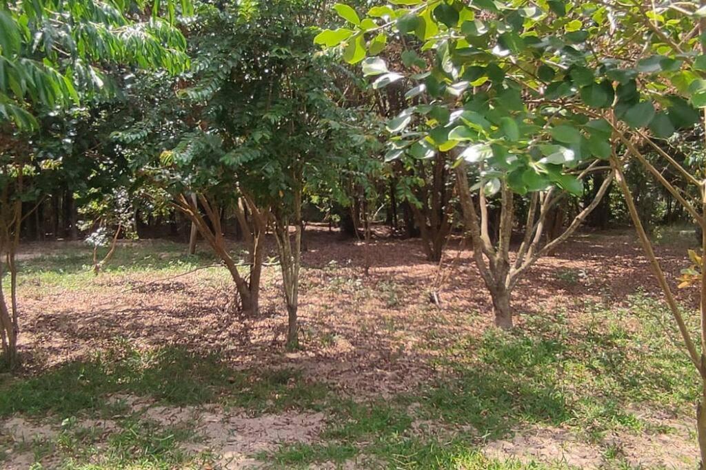 Casa de campo e eventos