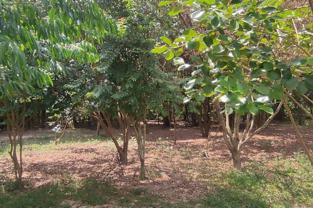 Casa de campo e eventos
