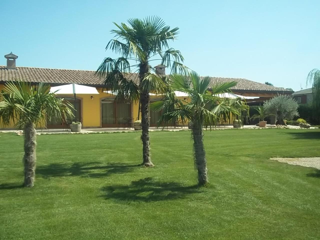Photo 33