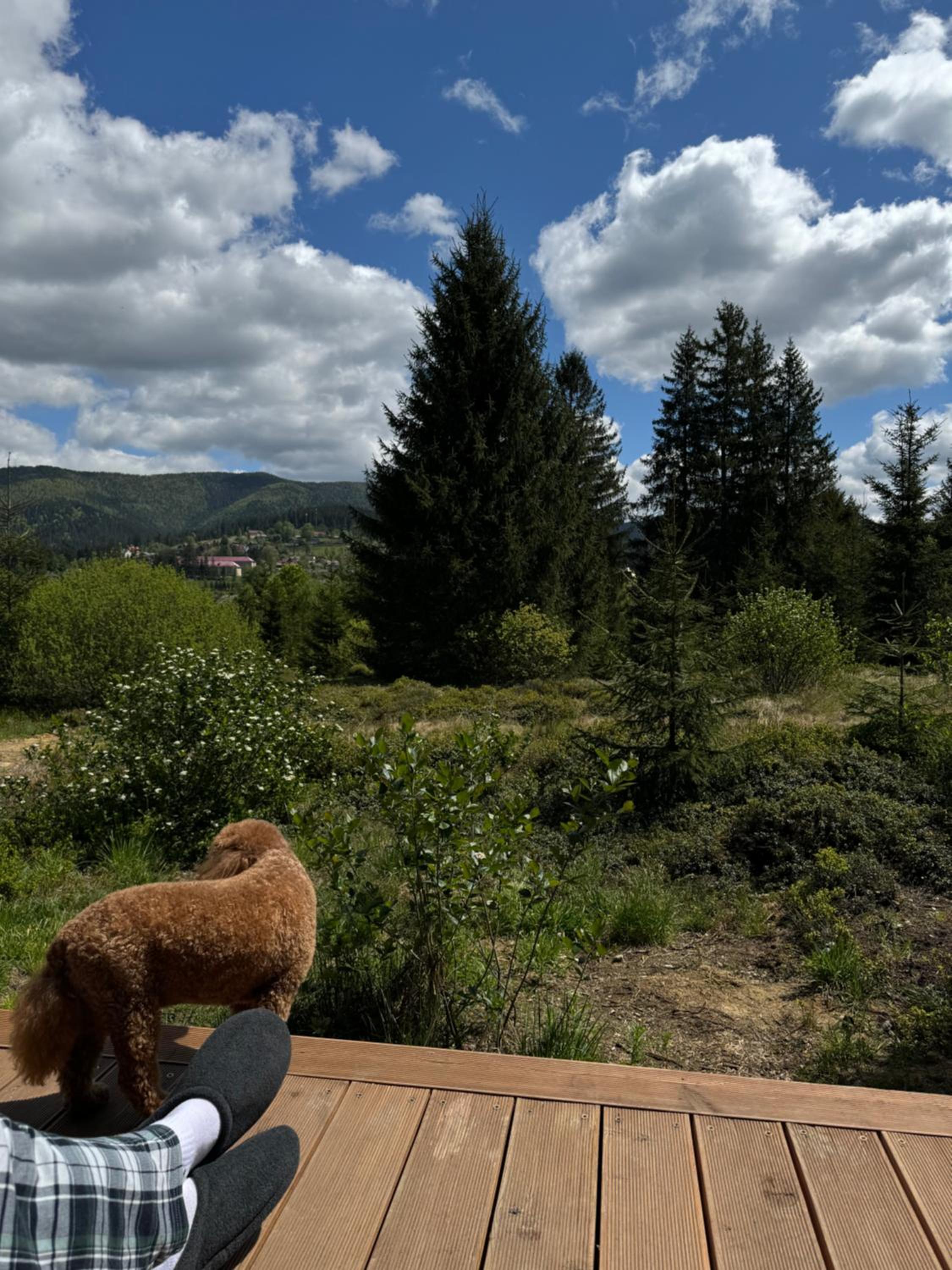 MOKHY Chalet & Nature
