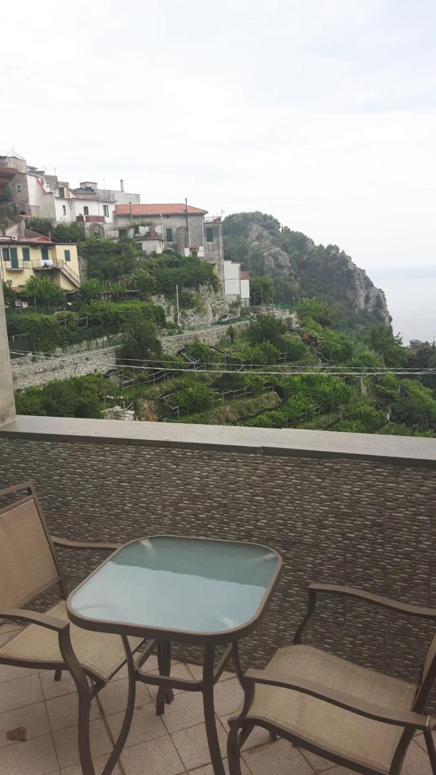 Pippo's Place