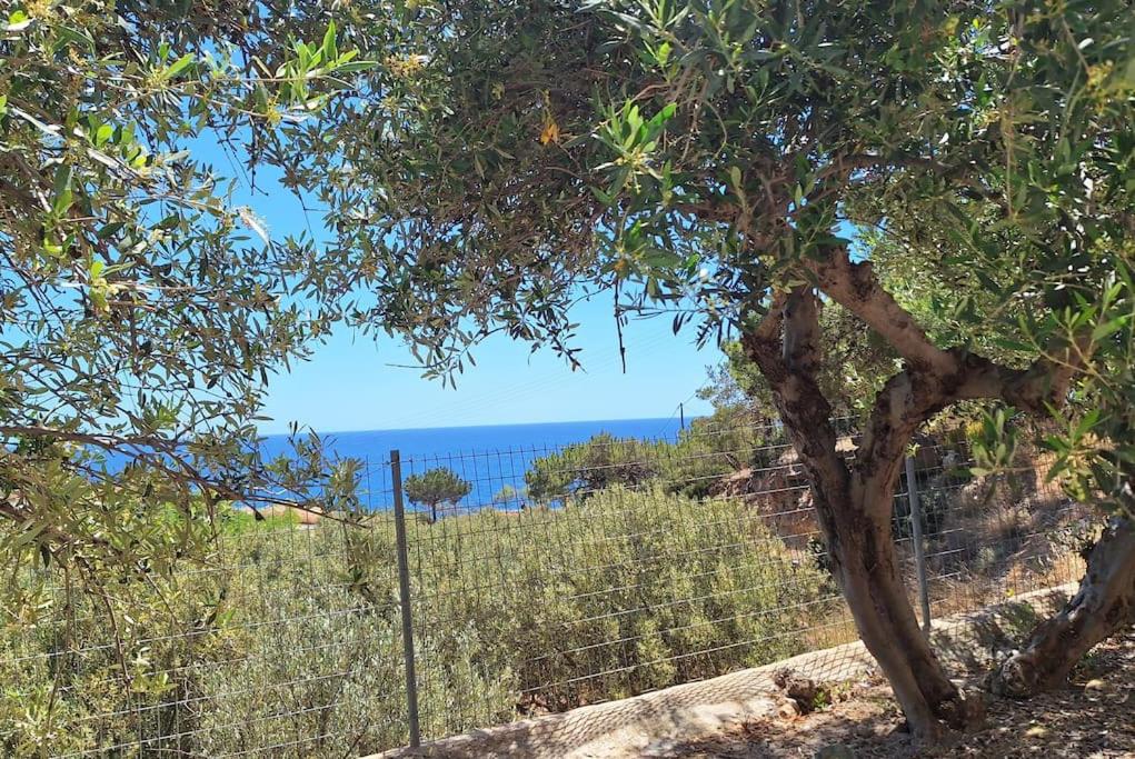 Achlia Sea Side Retreat 4 view 2