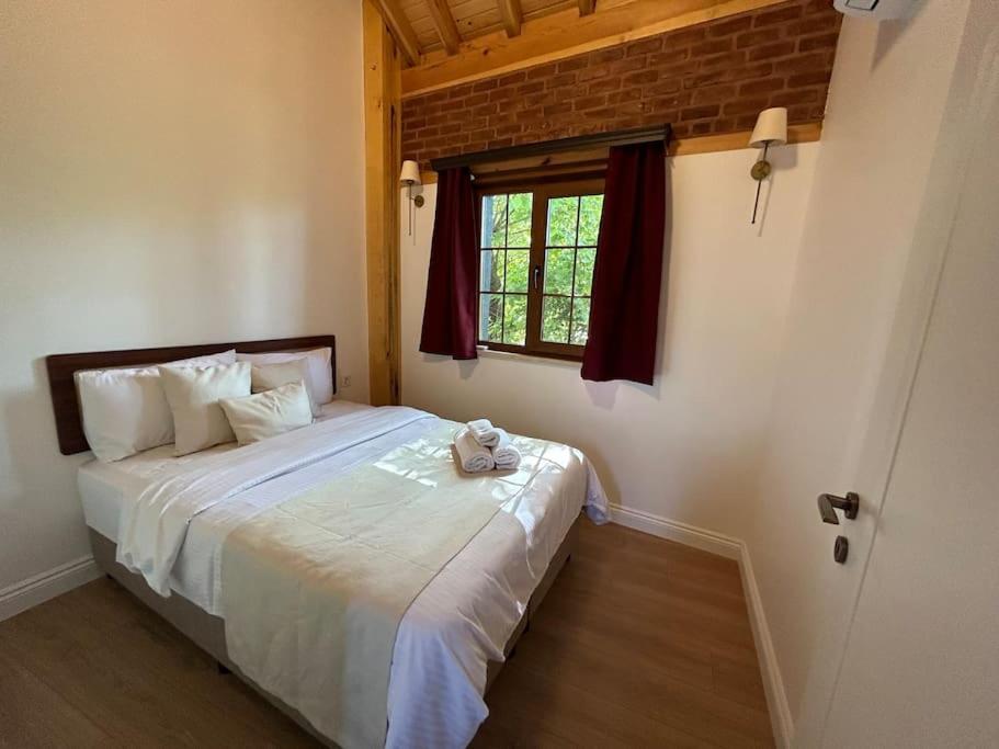Villa Arancia Istanbul - Garden, BBQ, Sauna & Turkish Bath by the Tram in Fatih