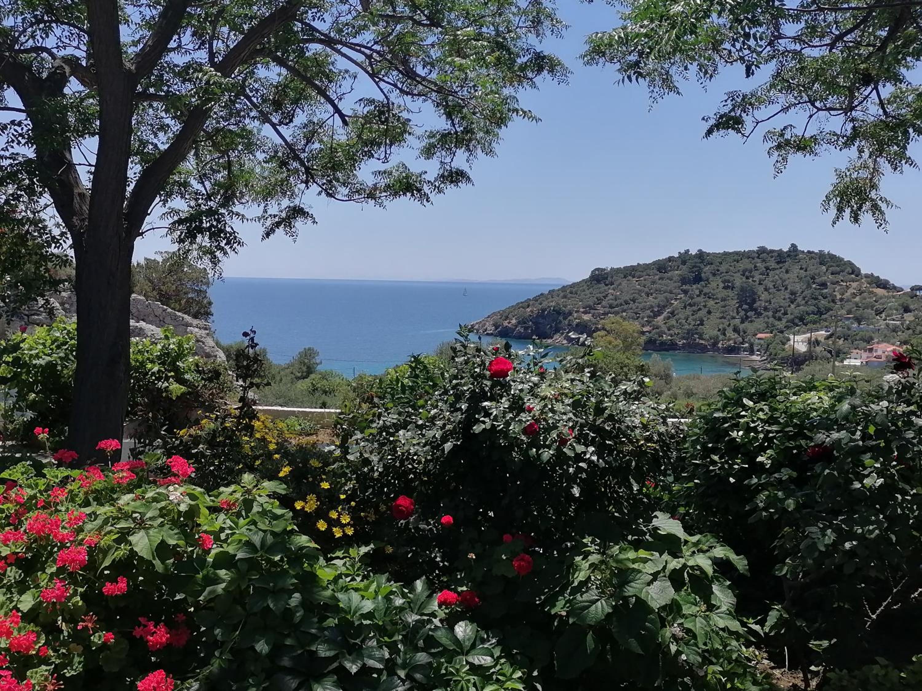 Studios Ioanna Limnionas Samos