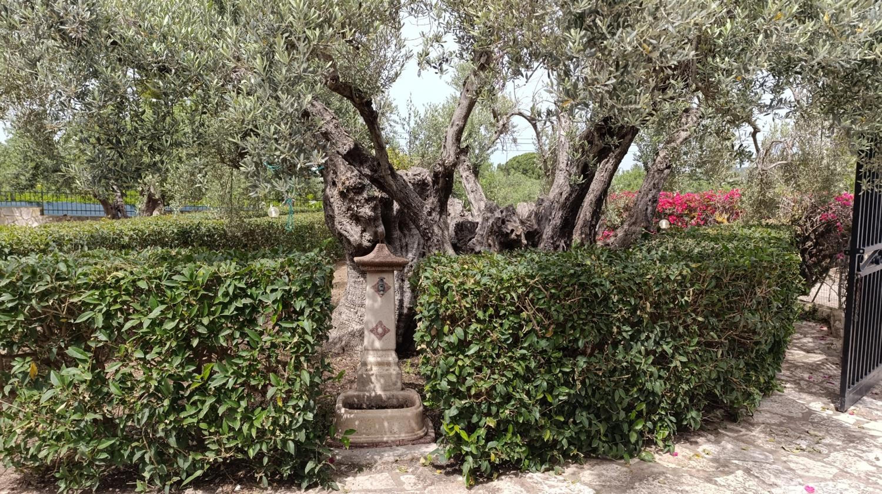 Villa Il Giardino di Rosa- 5 Min from the sea-Fraginesi