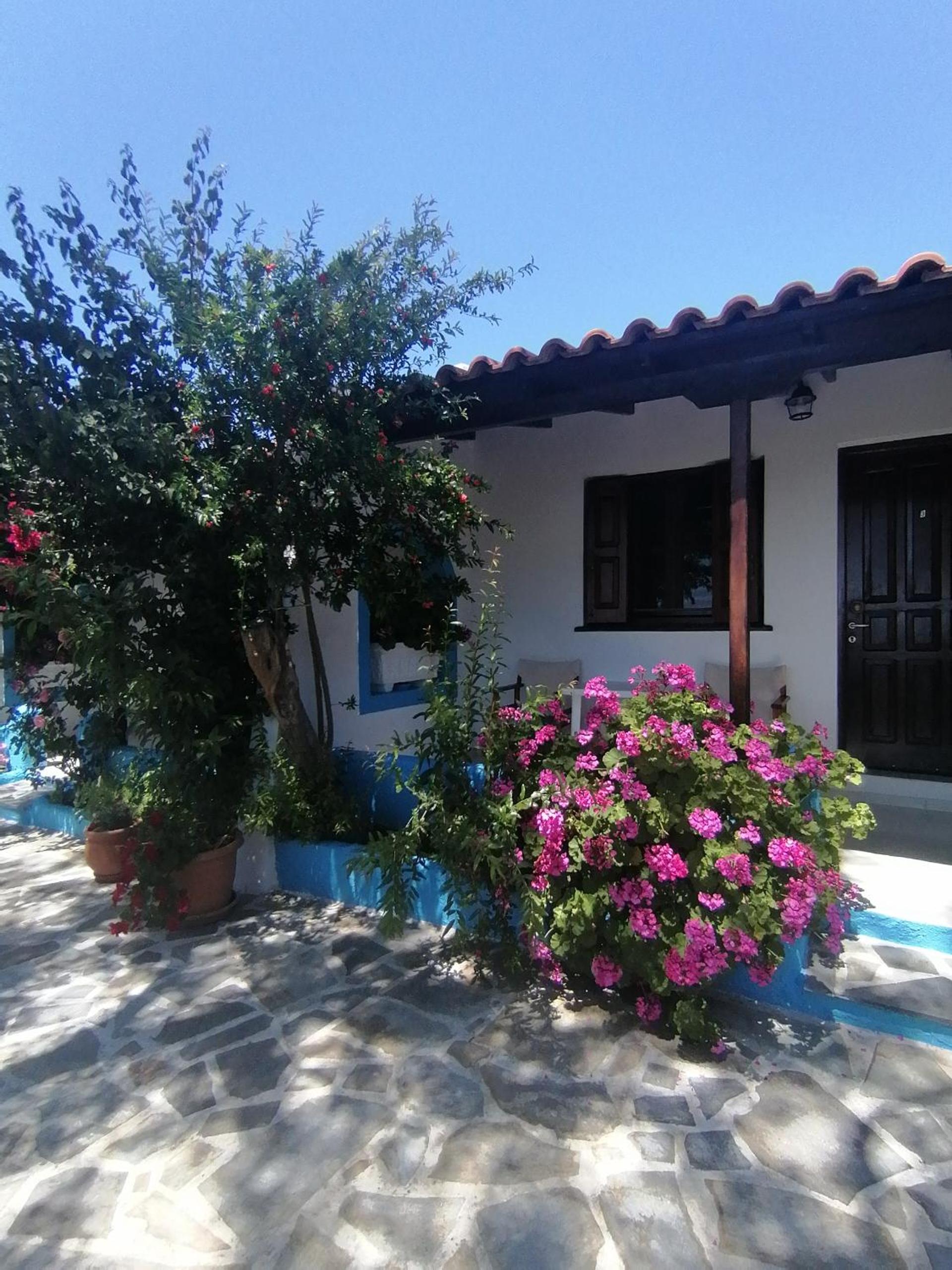 Studios Ioanna Limnionas Samos