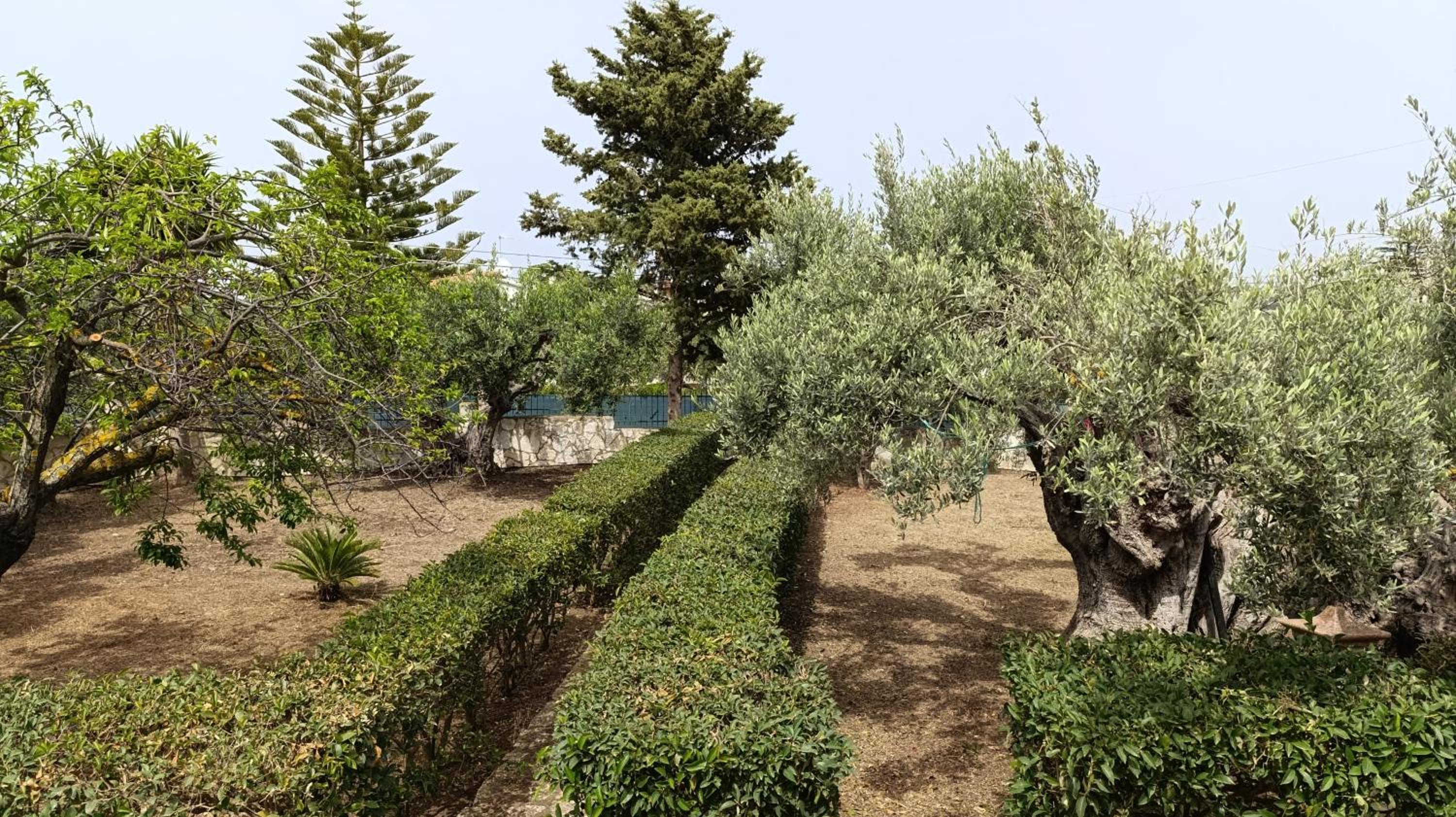 Villa Il Giardino di Rosa- 5 Min from the sea-Fraginesi