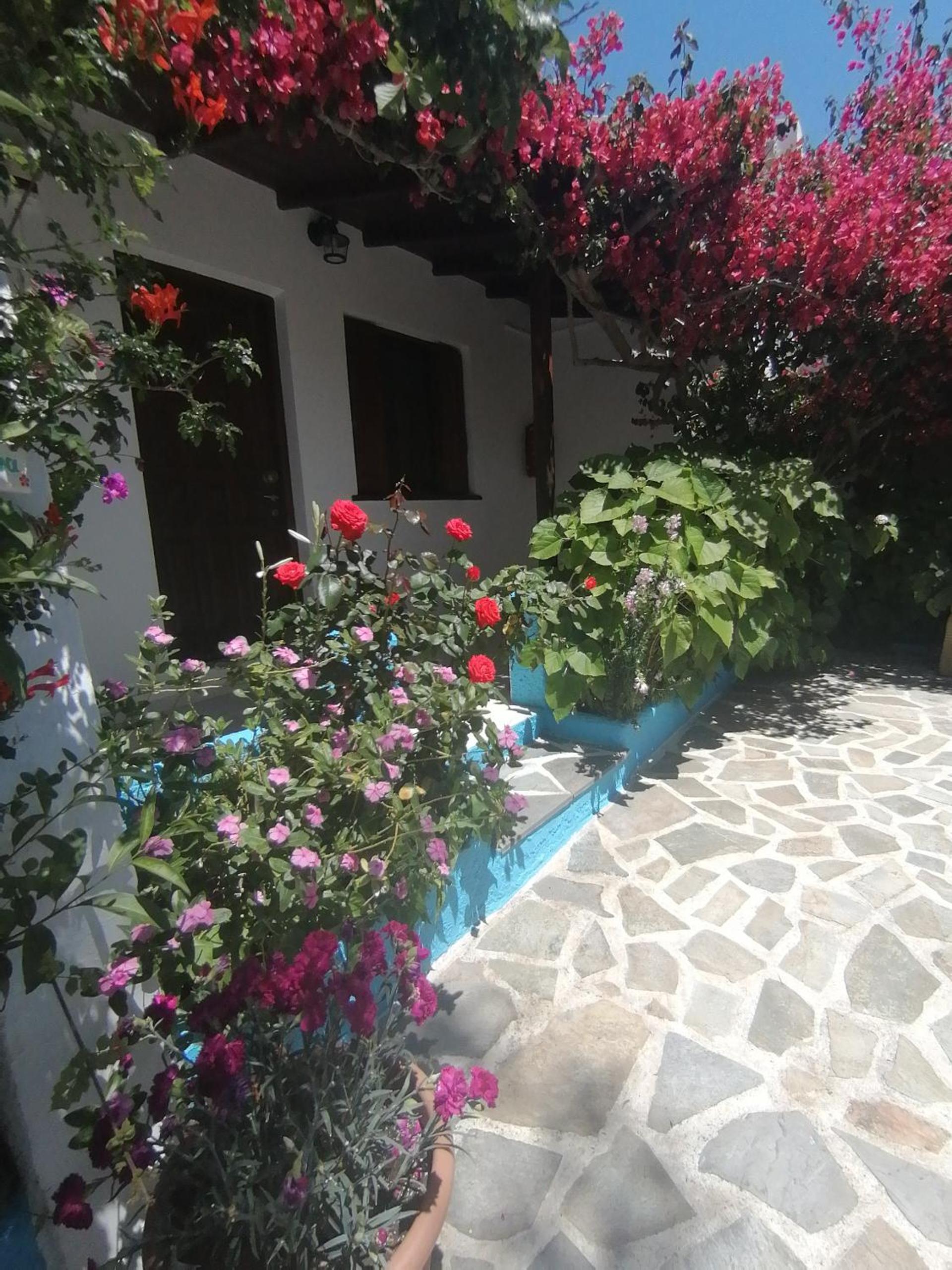 Studios Ioanna Limnionas Samos
