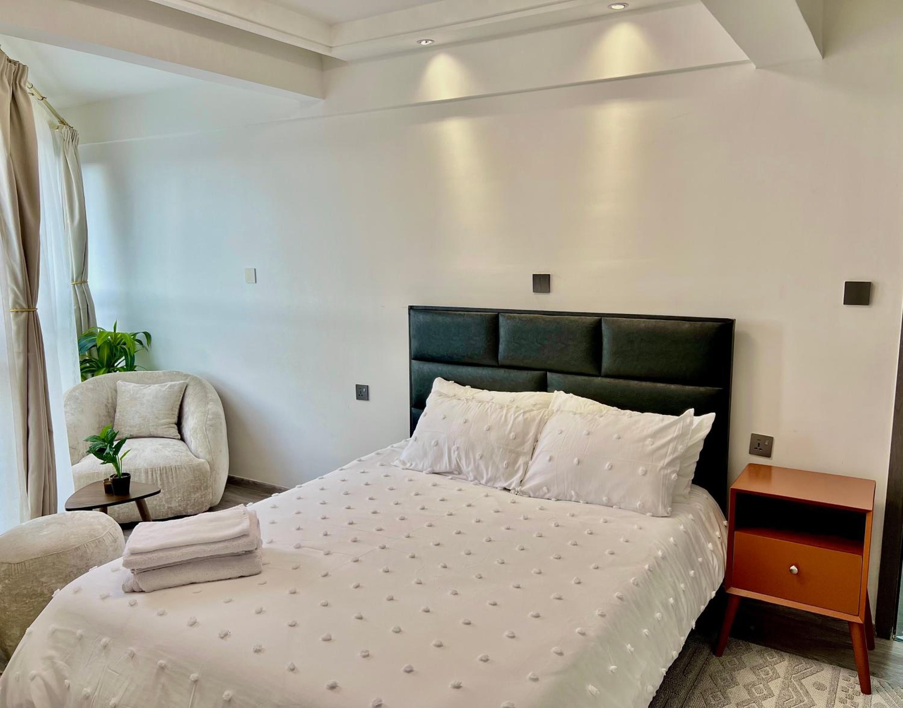 RUYER LUXURY 1BR kileleshwa view 4
