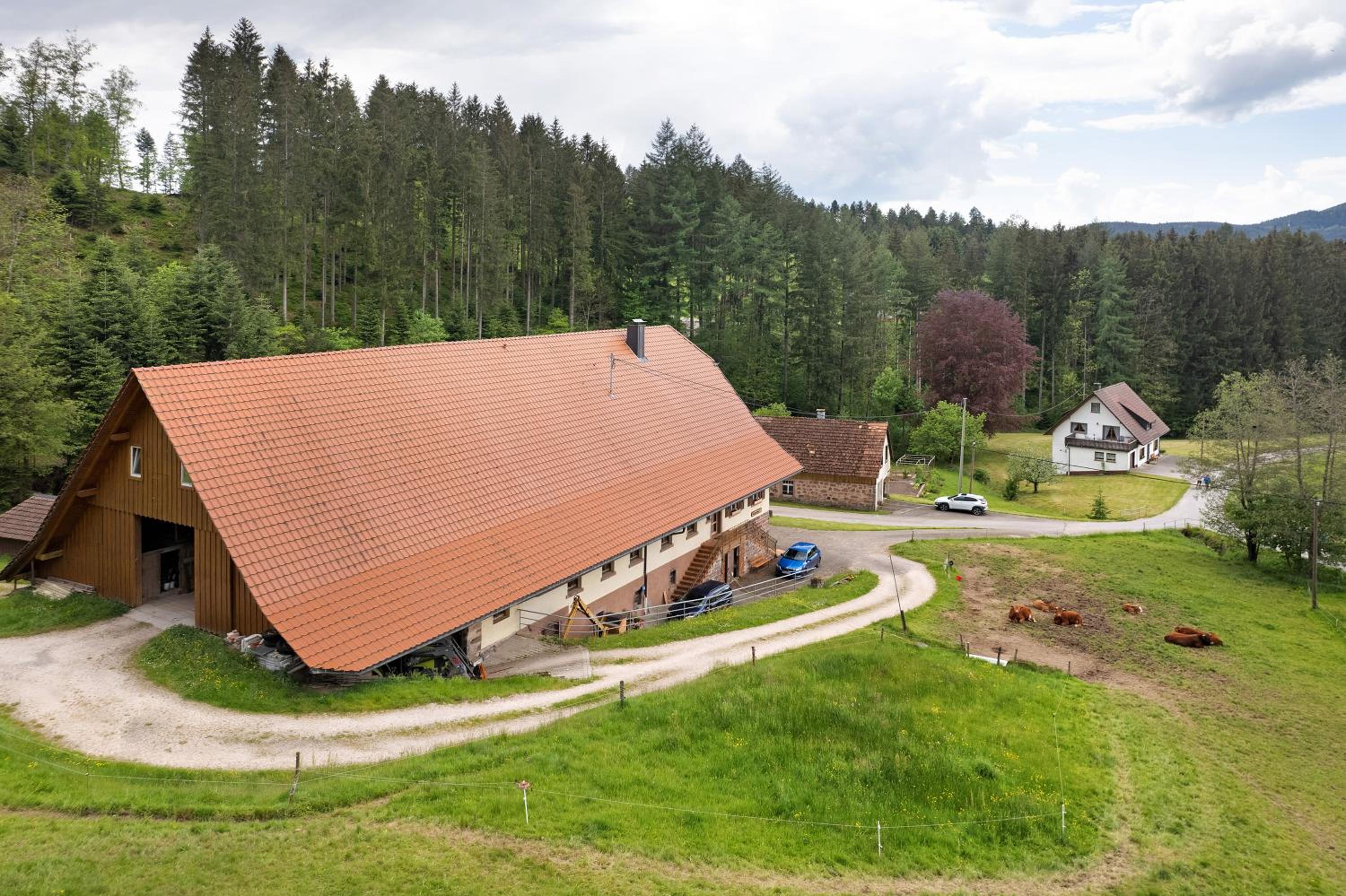 Sulzerhof