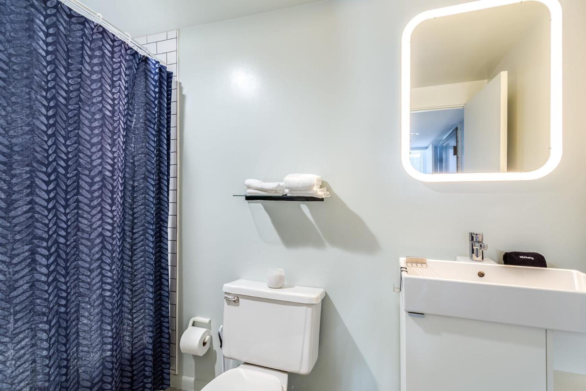 Beautifully Remodeled Second Floor Flat in River North with Private Rooftop - 2S photo 5