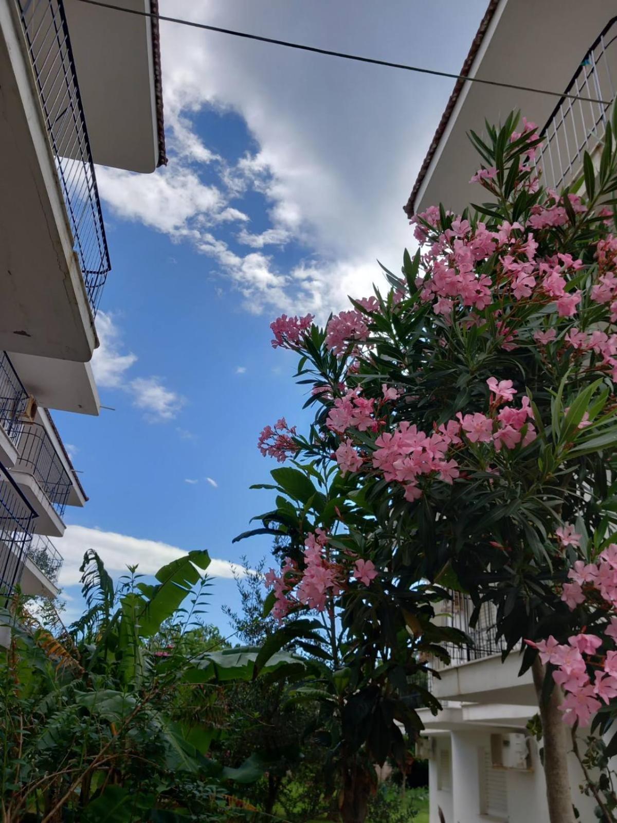 mourkos-apartments