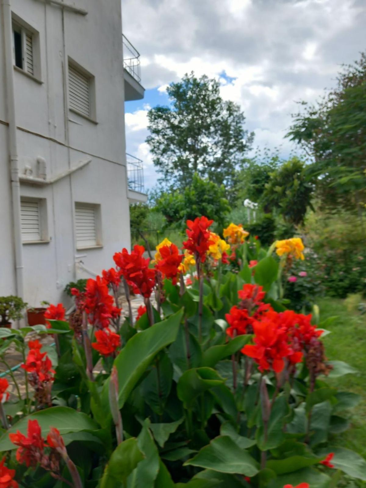 mourkos-apartments