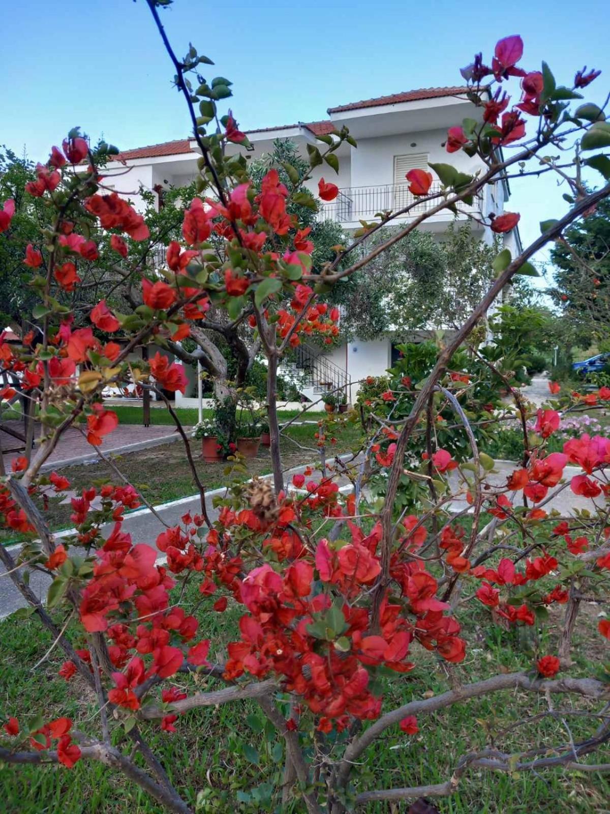 mourkos-apartments