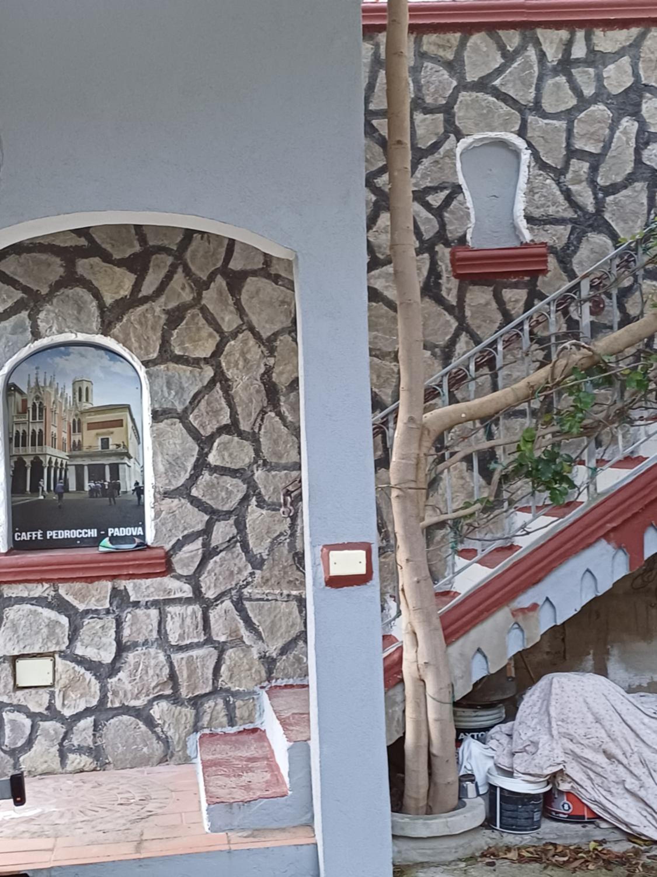 Pippo's Place