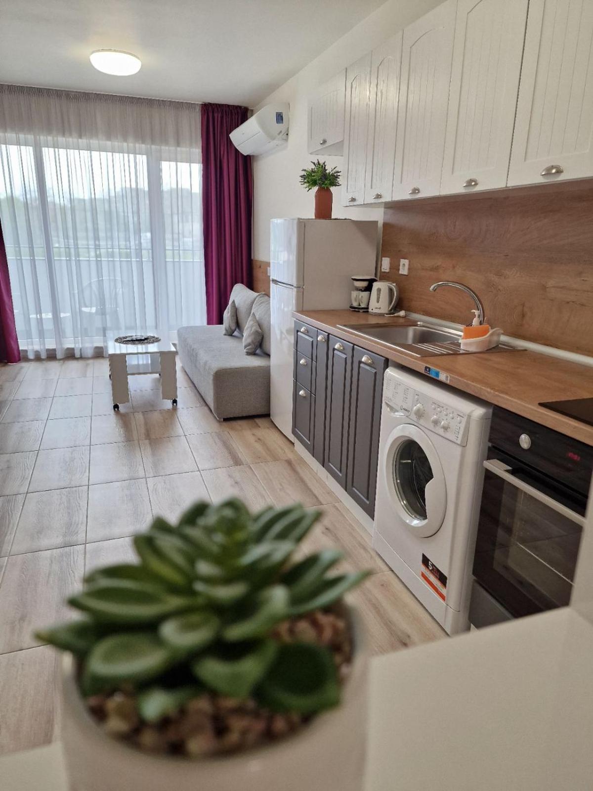 Rent Apartment 30