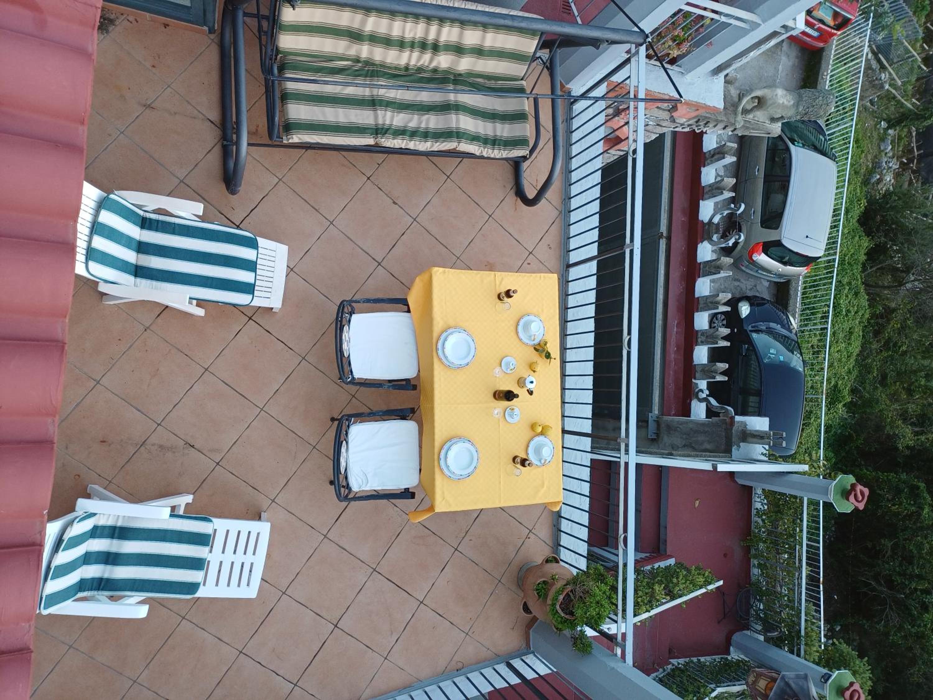 Pippo's Place