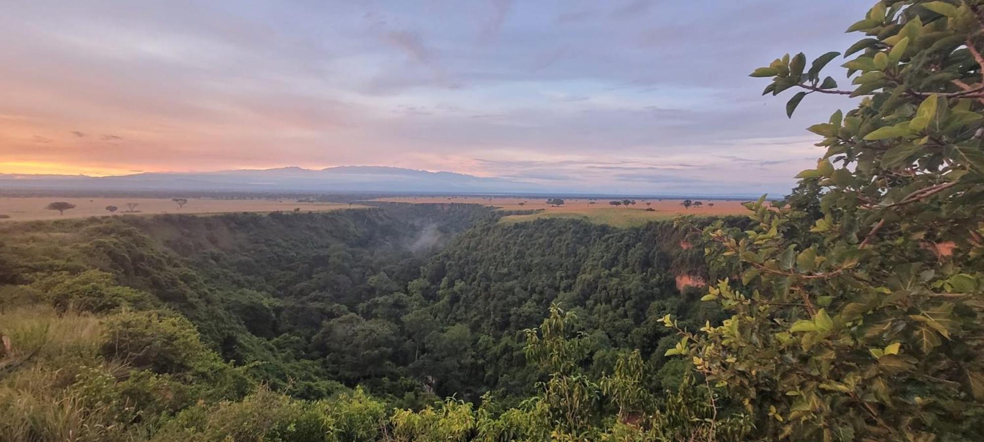 Queen Elizabeth Gorge Cottages