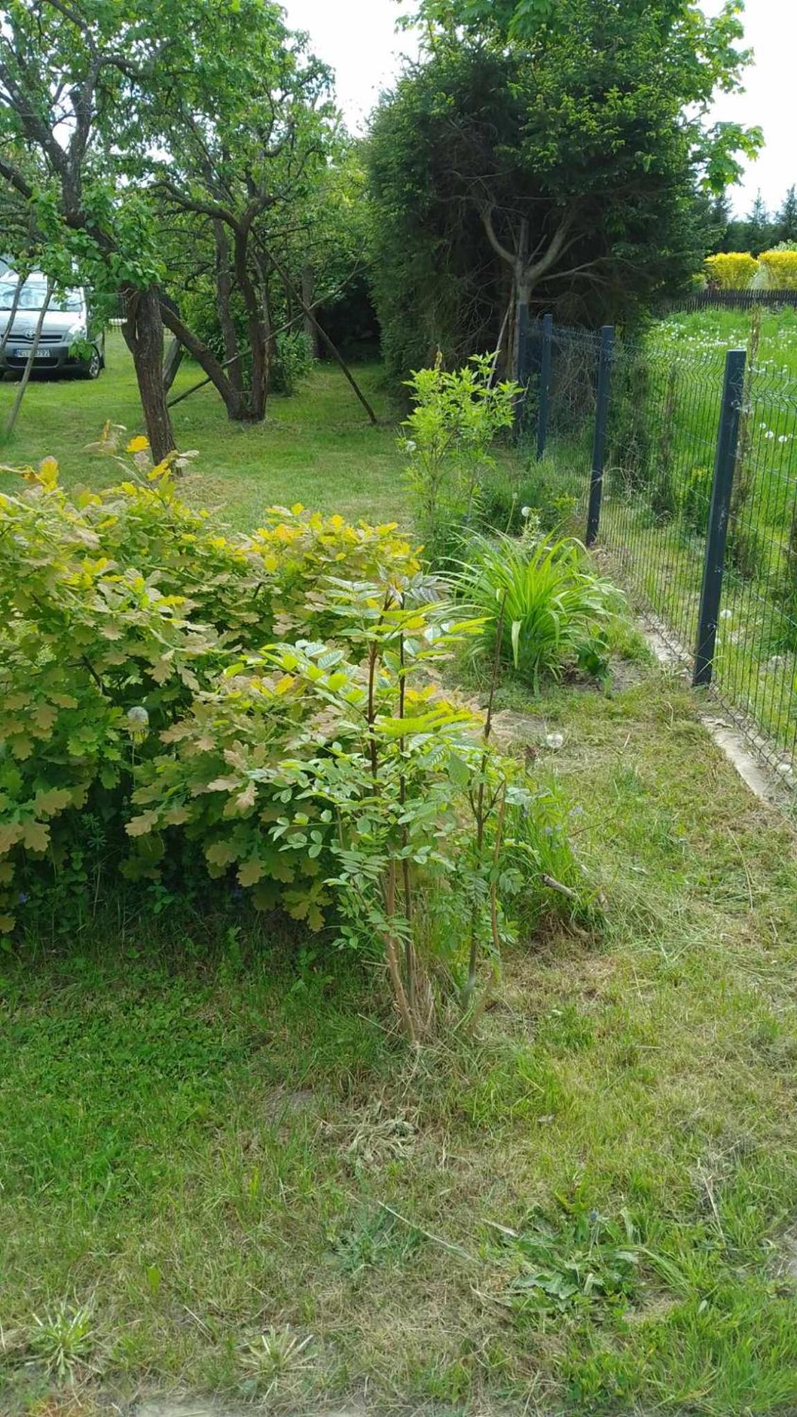 Photo 33