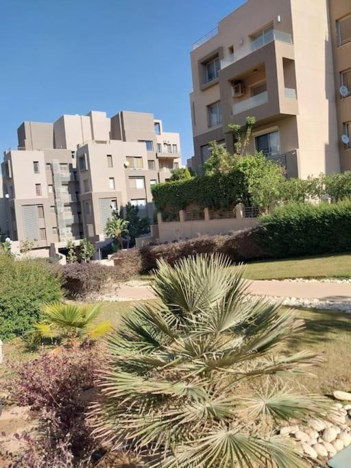 Sunny Bright 1BR in Palm Hills